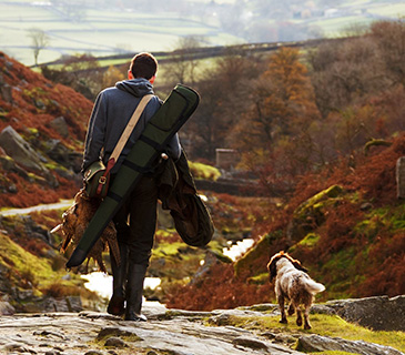 Supporting the Working Economy of the Countryside: Why Gun Dog Insurance Matters